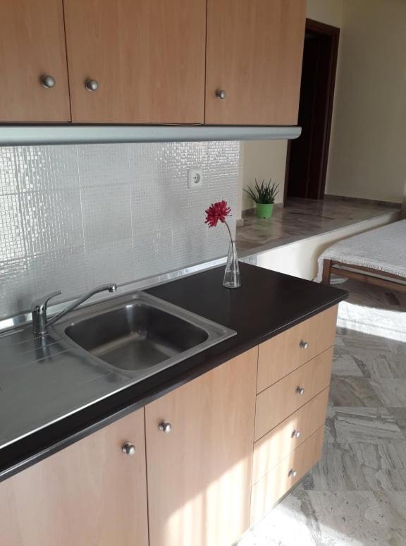 Villa Eleon 1 Nea Vrasna Ngoại thất bức ảnh